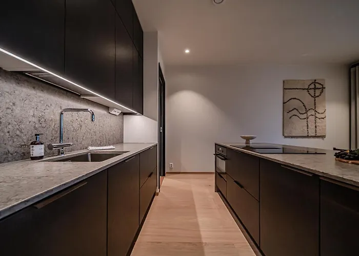 Fjaellen Aurora Luxe Ski-in Ski-out By Aavalevi 아파트 *