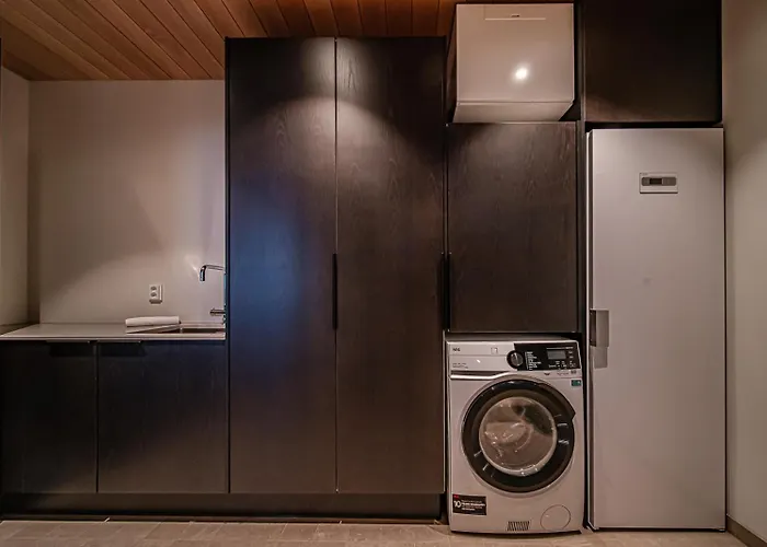 Fjaellen Aurora Luxe Ski-in Ski-out By Aavalevi 레비