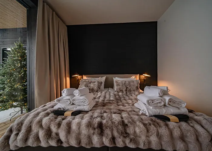 Fjaellen Aurora Luxe Ski-in Ski-out By Aavalevi